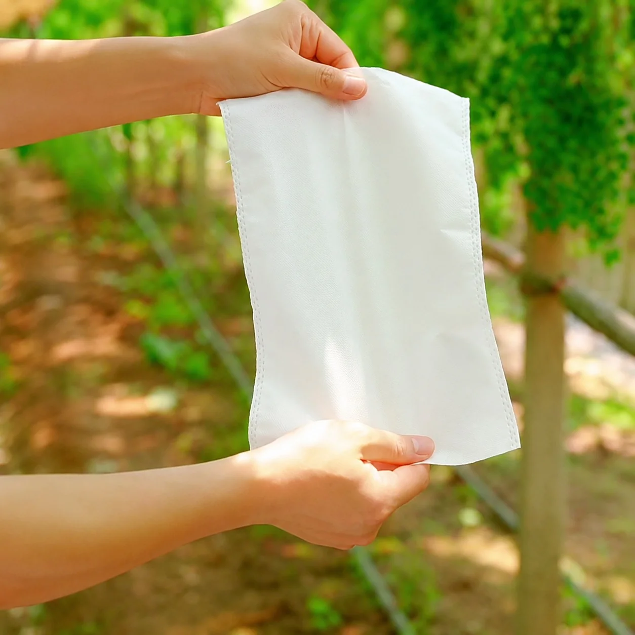 So sánh túi vải không dệt, túi lưới và túi giấy